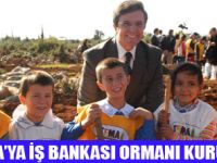 İŞBANKASININ  81 İLDE 81 ORMAN PROJESİ