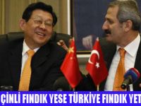 ÇİNLİ FIDIK YESE ÜRETİCİ ZENGİN OLUR