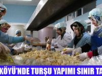 YILDA 50 BİN TON TURŞU