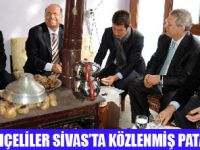 AZİZ YILDIRIMA KÖZLENMİŞ PATATES