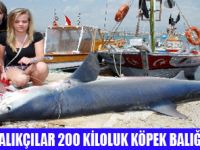 SİDEDE 200 KİLOLUK KÖPEK BALIĞI