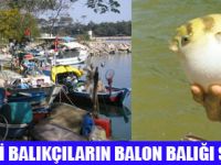 YA NASİPTE BALON BALIĞI BEREKETİ