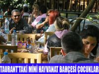 BOTANİK MİNİ HAYVANAT BAHÇESİ