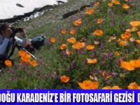 YOLCULUK DERGİSİ İLE FOTOSAFARİ