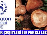 COOKBOOKDA FARKLI LEZZETLER