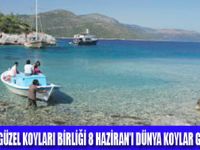 8 HAZİRAN DÜNYA KOYLAR GÜNÜ