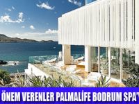 PALMALİFEDE TATİL EVİNİZİ ARATMAZ