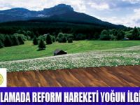 ZEMİN KAPLAMADA REFORM HAREKETİ