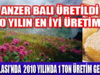 ANZER BALININ KİLOSU 550 TL