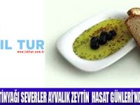 IŞIL TUR İLE ZEYTİN HASAT GÜNLERİ TURU