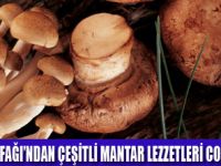 DÜNYA LEZZETLERİ COOKBOOKDA