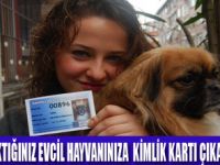 KÖPEĞİNİZİN KİMLİK KARTINI  ALDINIZ MI ?