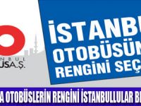 SİZİN RENGİNİZ HANGİSİ