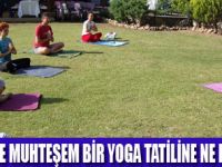 FARALYADA YOGA KAMPI