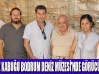 GÜLEŞÇİNİN DENİZ KABUKLARI BODRUMDA