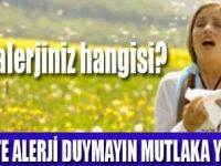 SİZİN ALERJİNİZ HANGİSİ?