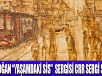 YAŞAMDAKİ SİS  SERGİSİ