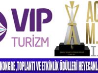 VİPTEN ACE OF MİCE ÇIKARTMASI