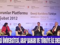 ARAP BAHARI VE TÜRKİYE PANELİ