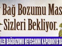 ŞARAPSEVERLER BAĞBOZUMUNDA BULUŞUYOR