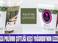 POLİVOR ÇİFTLİĞİ KEÇİ YOĞURDU