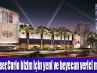 Hilton küresel otel koleksiyonu yaratacak