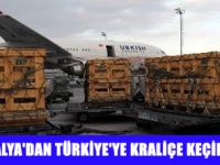 1 TON SÜT VEREN 30 KRALİÇE KEÇİ GELDİ