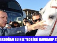 ERDOĞAN'I 100 ATLI CİRİTÇİ KARŞILADI