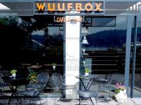 Wuufbox ile küçük dostlarınızı şımartın!