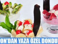 NİPPON'DAN YAZA ÖZEL MEYVELİ DONDURMA