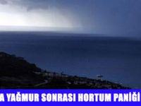 ALANYA'DA HORTUM PANİĞİ