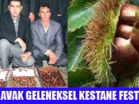 AYDIN'DA KESTANE FESTİVALİ