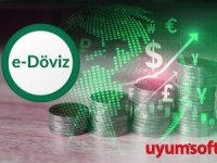 Dikkat ! e-Döviz Alım- Satım belgeleri uygulaması yeni yılda başlıyor 