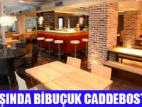 YILBAŞINDA BİBUÇUK