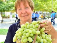 2600 YILLIK GELENEK; URLA BAĞBOZUMU ŞENLİKLERİ 