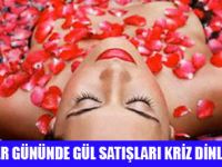 SEVGİLİYE BİR GÜL