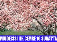 İLK CEMRE 19 ŞUBAT'TA