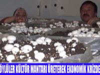 KÜLTÜR MANTARI İLE KRİZİ AŞACAKLAR