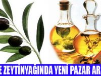 ZEYTİNYAĞINDA HEDEF DÜNYA PAZARI