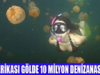 TURİSTLER DENİZANALARI İLE YÜZÜYOR