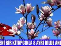 NEVRUZ 8 DİLDE DÜNYAYA TANITILACAK