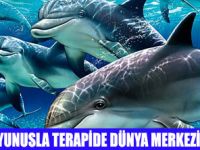 DOLPHİNPARKTA YUNUSLA TERAPİ