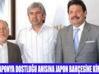 JAPON BAHÇESİNE KİRAZ FİDANI