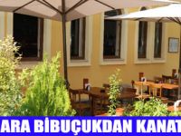 BABAMA ÇEK  BİBUÇUK