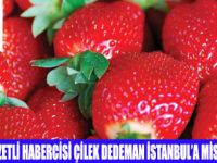 DEDEMAN İSTANBULDA ÇİLEK GÜNLERİ