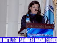 MESLEKİ YETERLİLİK SİSTEMİ ULUSLARARASI SEMİNERİ