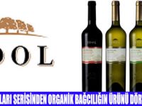 İDOL BAĞLARINDA ORGANİK ŞARAP