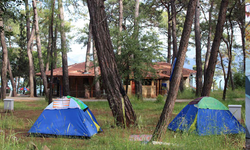 biletall-gezginleri,-kamp,-orman-kampi,-gunluk-gezi-003.jpg