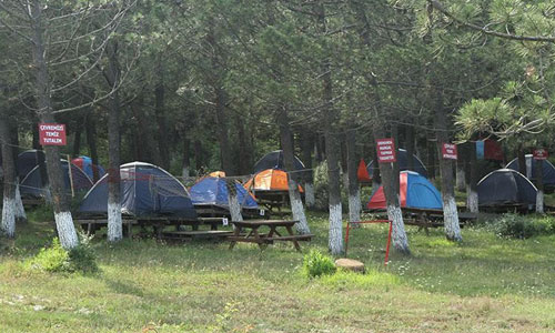 biletall-gezginleri,-kamp,-orman-kampi,-gunluk-gezi.jpg