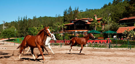 hotel-berke-ranch,2.jpg